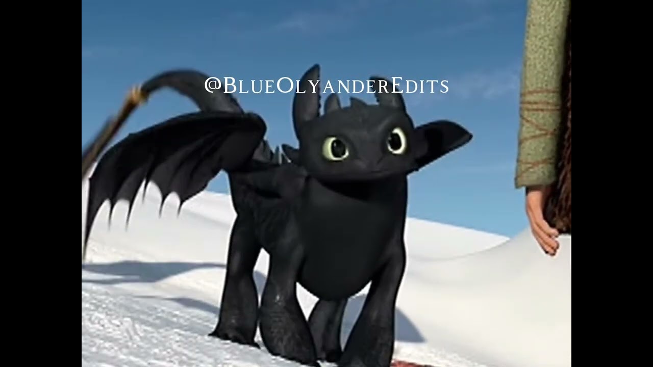 𝘍𝘰𝘳 𝘮𝘺 𝘧𝘳𝘪𝘦𝘯𝘥𝘴!!| Httyd edit🩵✨️