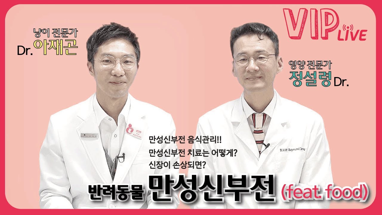 반려동물 만성신부전의 모든 것! (feat.음식관리)