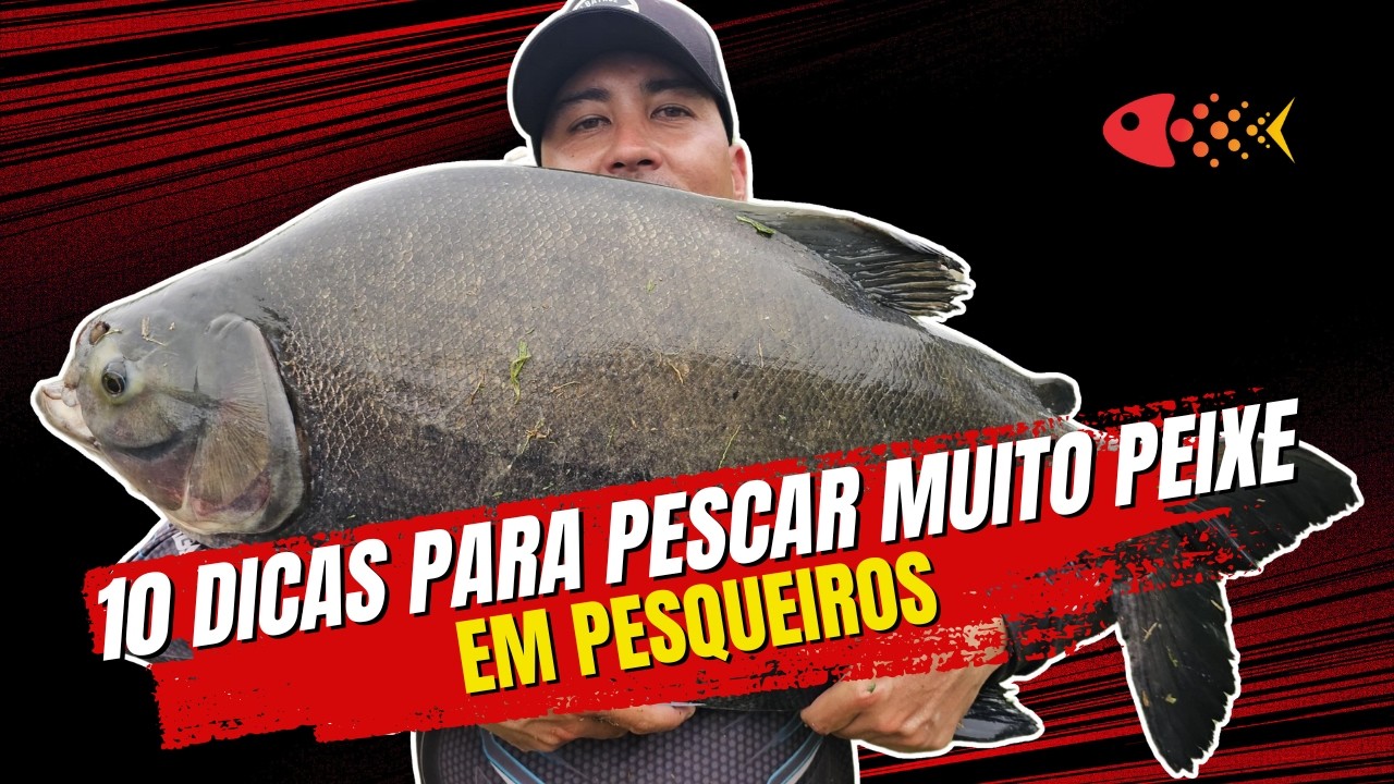 10 Dicas Incríveis que vão te fazer pegar muitos peixes em pesqueiros