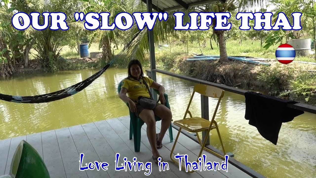 We Visit Bank’s Upcountry Mango Farm in Thailand
