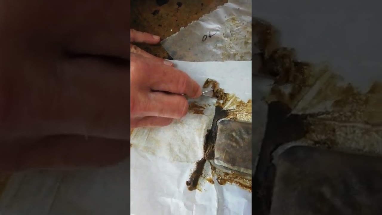 Solvent-less hash production in eSwatini, Swaziland rosin from bubble hash extraction and concentrat
