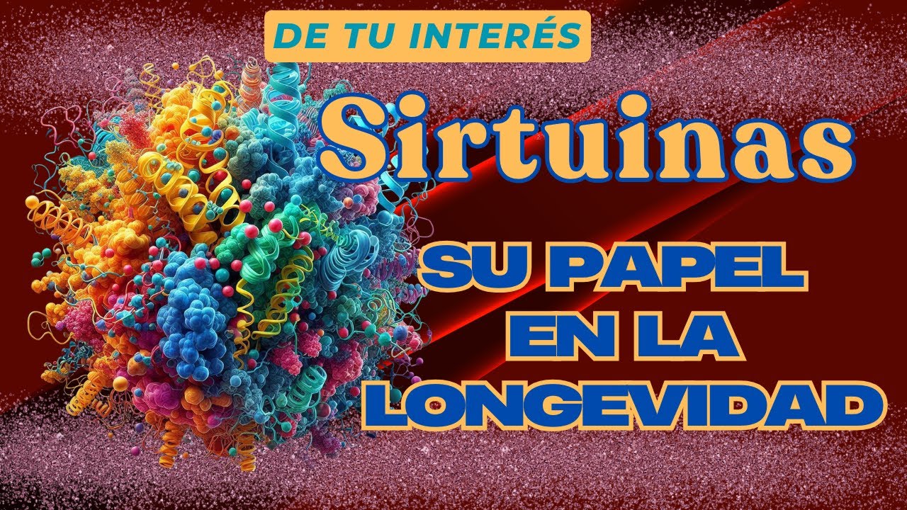 Sirtuinas y su papel en la salud y la longevidad  🧬