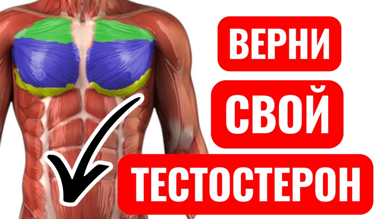 упражнения для мужской силы | Повысьте тестостерон естественно!