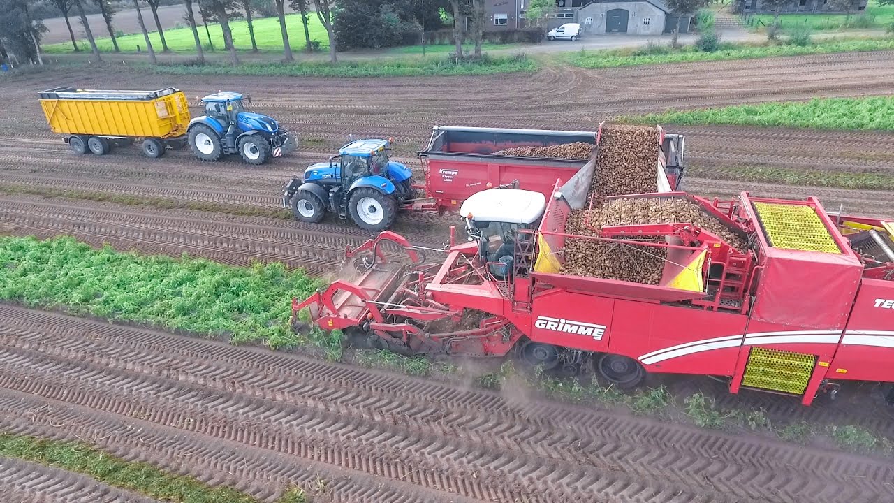 aardappels rooien | Harvesting potatoes  | GRIMME TECTRON | Kartoffelernte