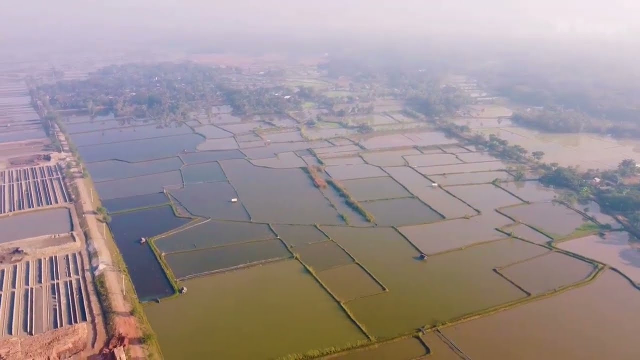 Birds Eye View from Sholgatia, Dumuria, Khulna