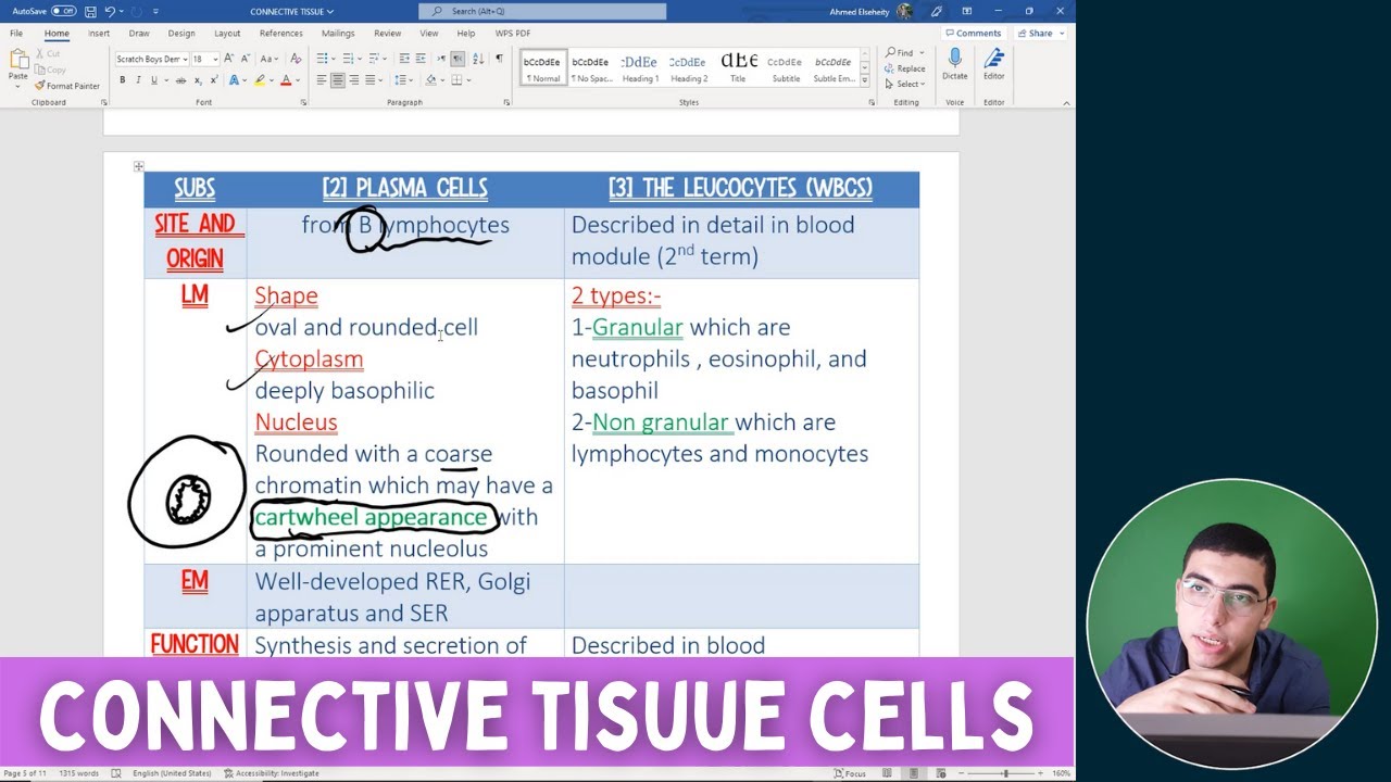 [NEW COURSE 2022] Connective tissue cells | Histology