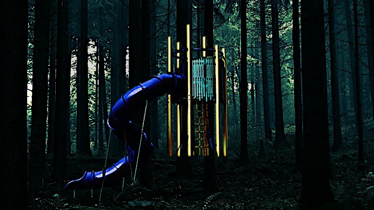 A Slide In The Woods...
