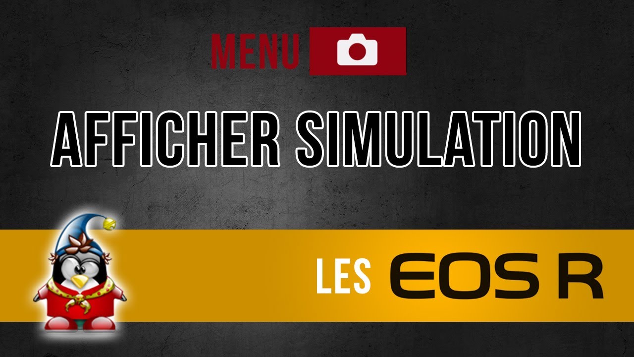 Les menus des Canon R - Affichage simulation