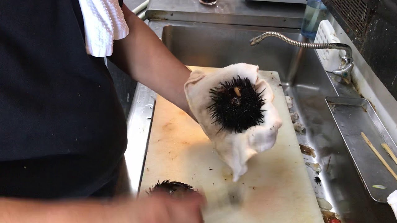 ウニの捌き方