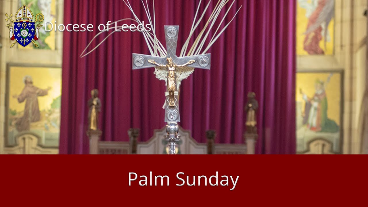 Mass of Palm Sunday of the Passion of the Lord 2023