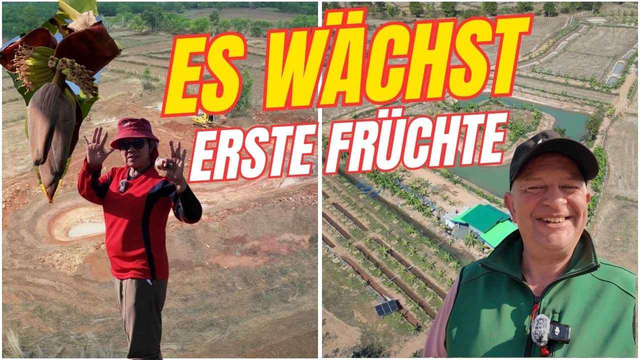 So hat sich das Grundstück im Nordosten Thailands verändert - Es geht voran! - Folge 90
