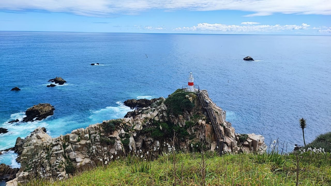 BiobioDiversidad - ¿Habrá pingüinos en la costa de Hualpén?