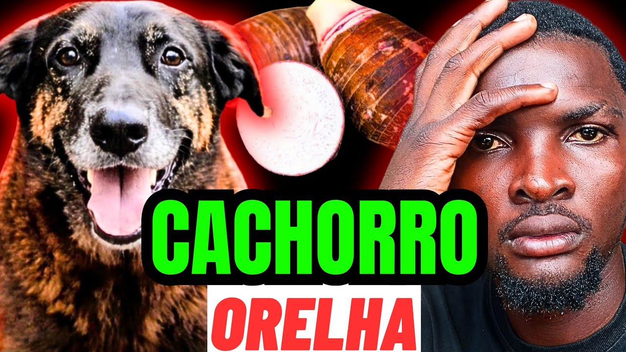 COZINHAMOS INHAME E EXPLIQUEI O MAU ENTENDIDO DO VIDEO ANTERIOR 