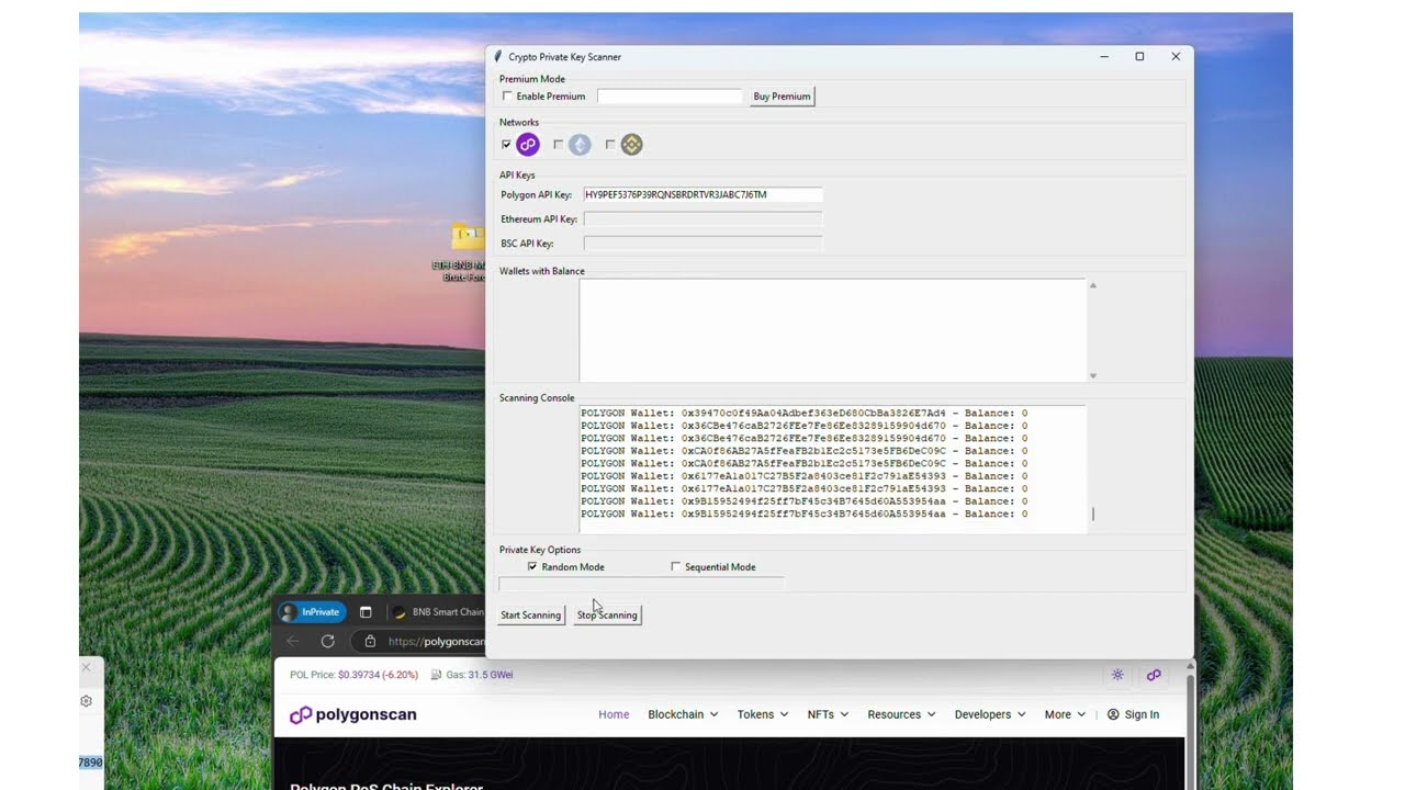 Brute Force ETH BNB MATIC - Crypto Wallet Scanner