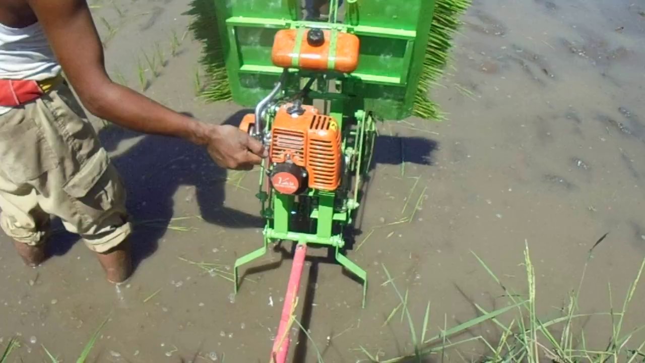 Review Mesin Tanam Padi Unik Simple hand made DIY Rice Transplanter