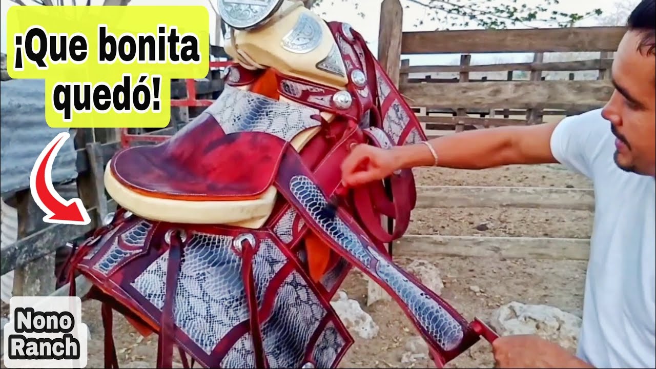 COMO LIMPIAR UNA SILLA DE MONTAR