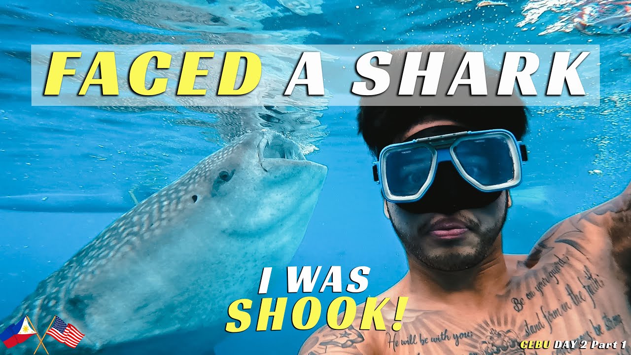 WHALE SHARK ENCOUNTER in OSLOB CEBU (GUIDE) | THAT WAS A CLOSE CALL!