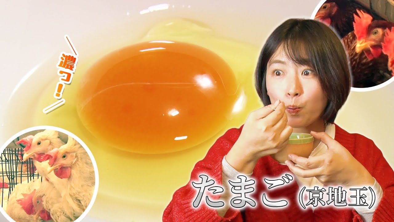 「たまご」西田圭佑さん (京都市)｜KBS京都テレビ「あぐり京都」 2025年12月放送