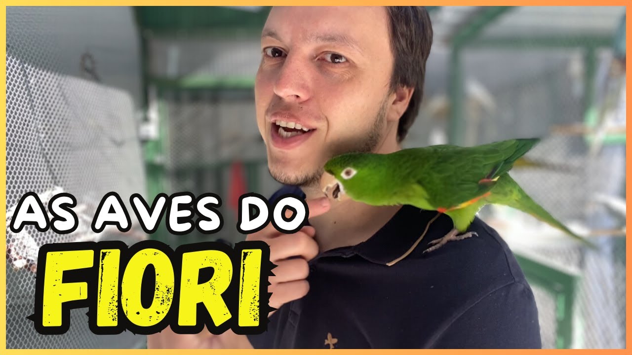 TODAS AS MINHAS AVES