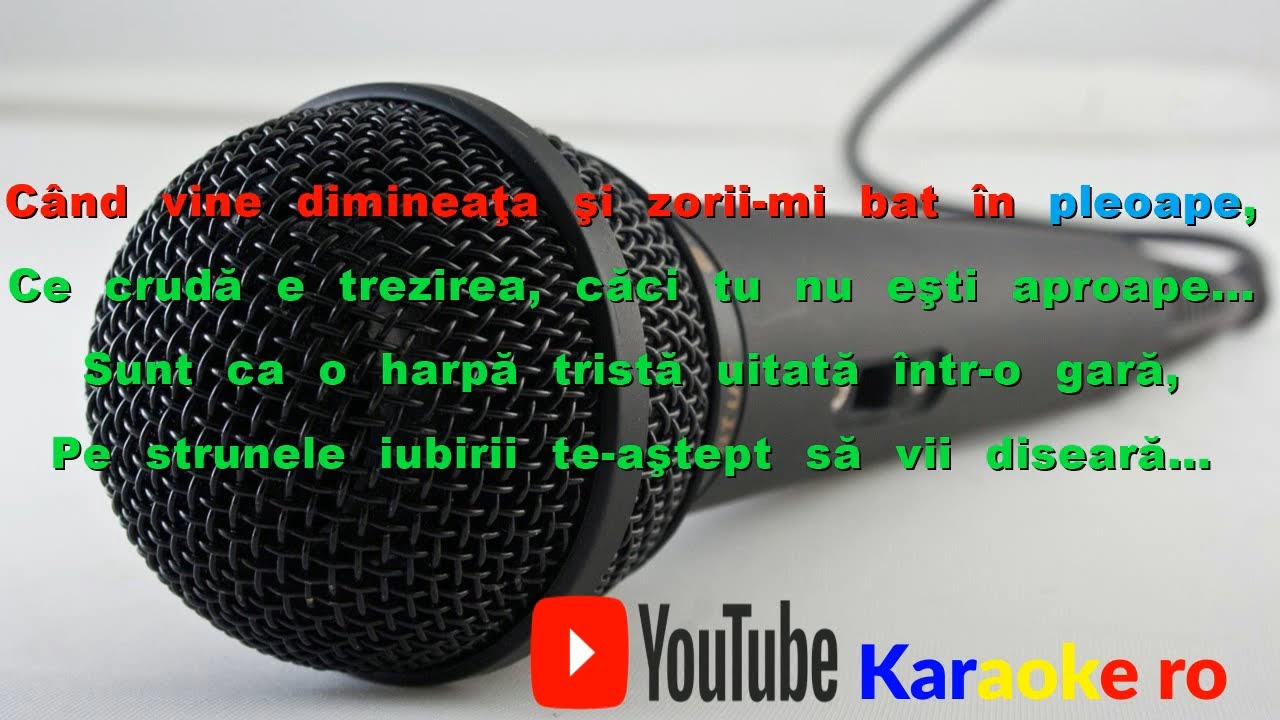 Gabriel Dorobantu  Hai in gara noastra mica  Karaoke Universal Ro