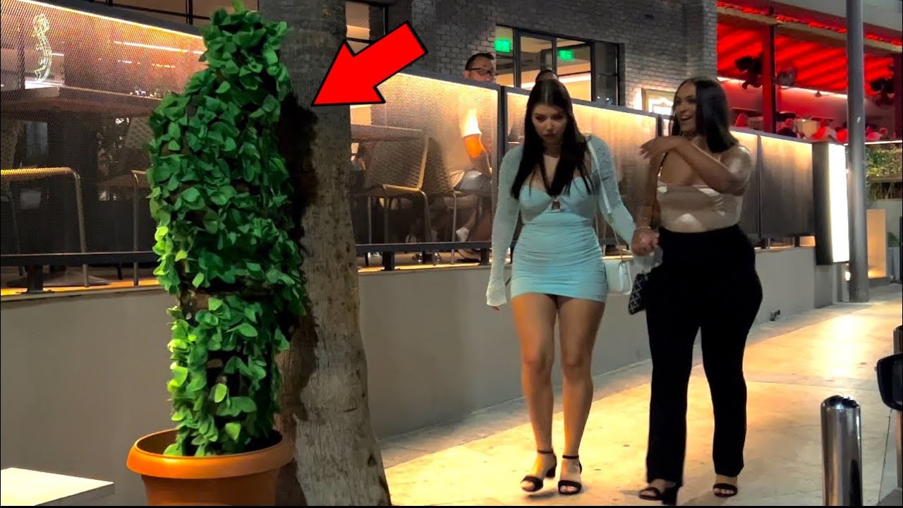 One is laughing the other screaming. Bushman Prank