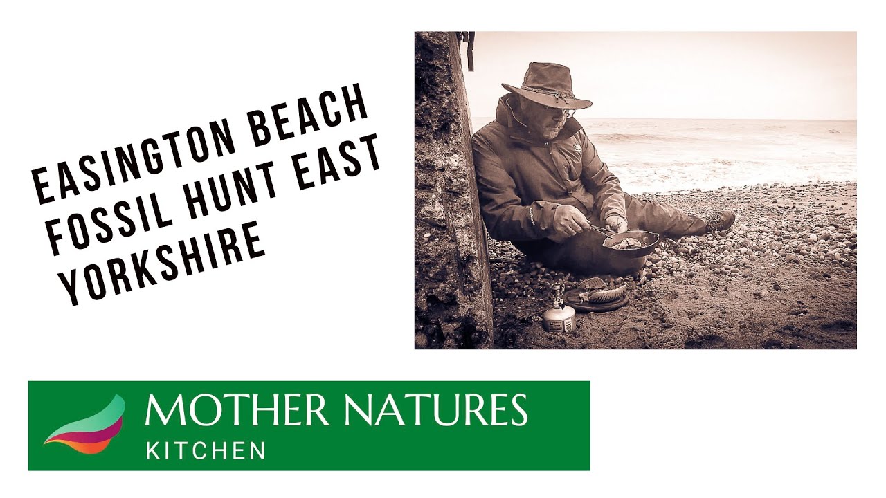 Easington Beach Fossil Hunt East Yorkshire