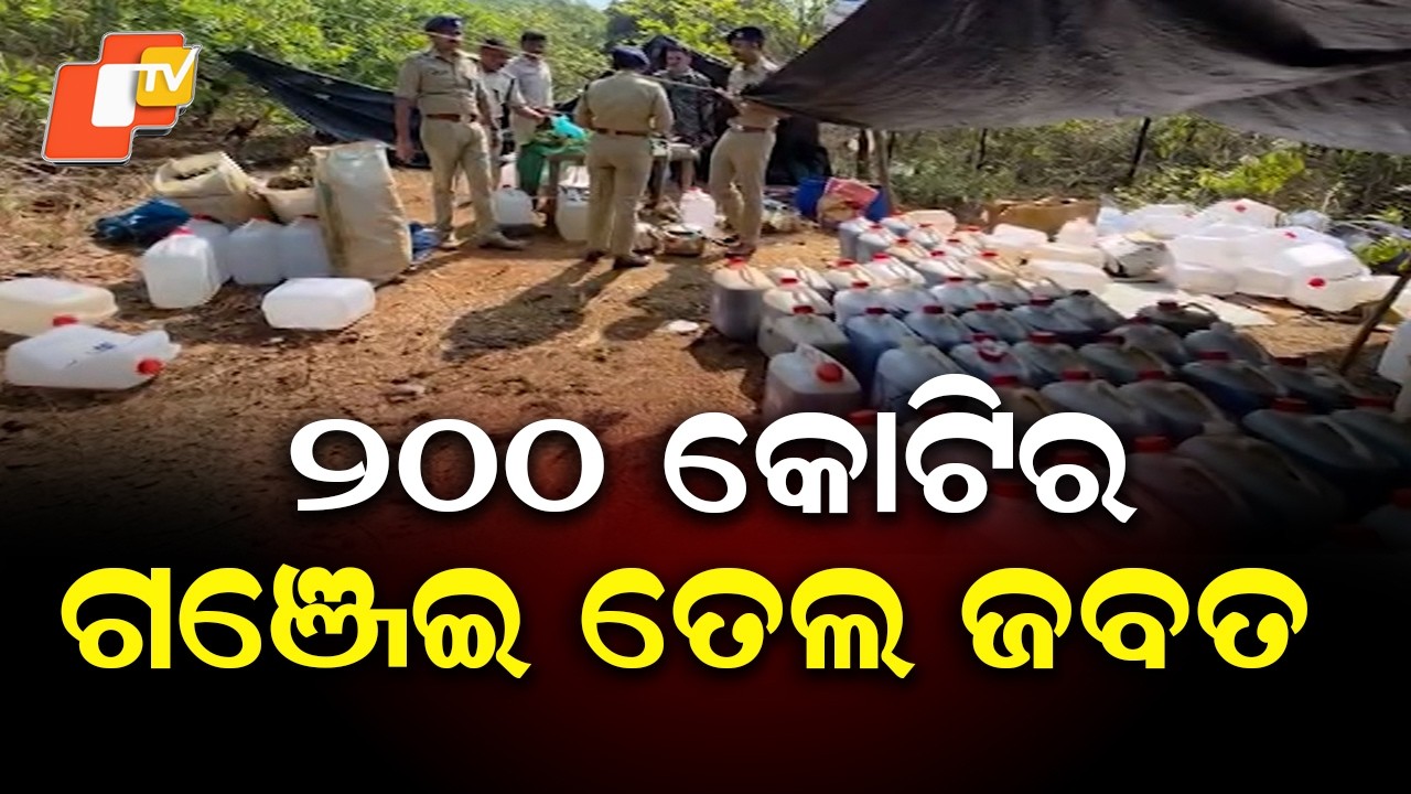 Massive Ganja Seizure in Koraput; Drugs Worth ₹200 Crore Recovered