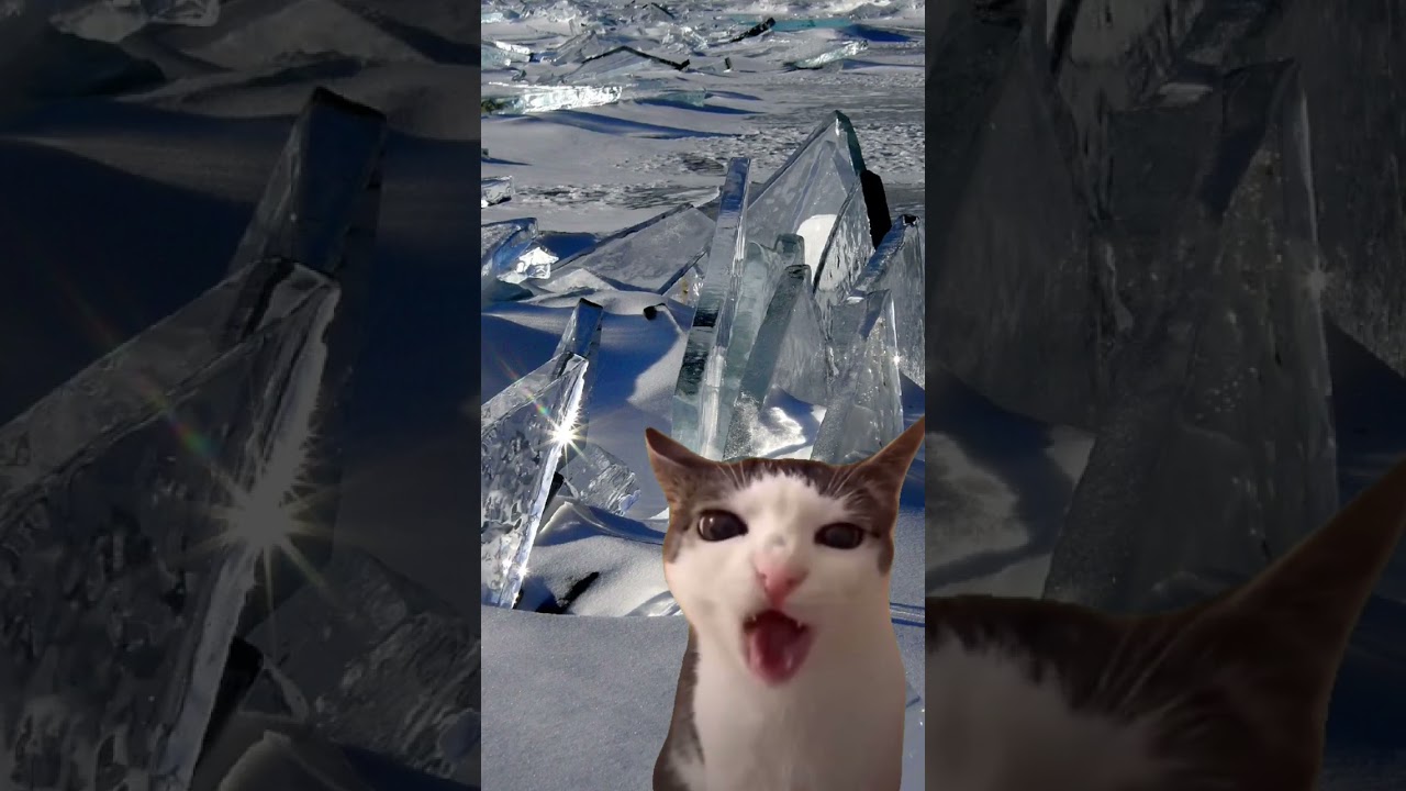 шаблон из #capcut