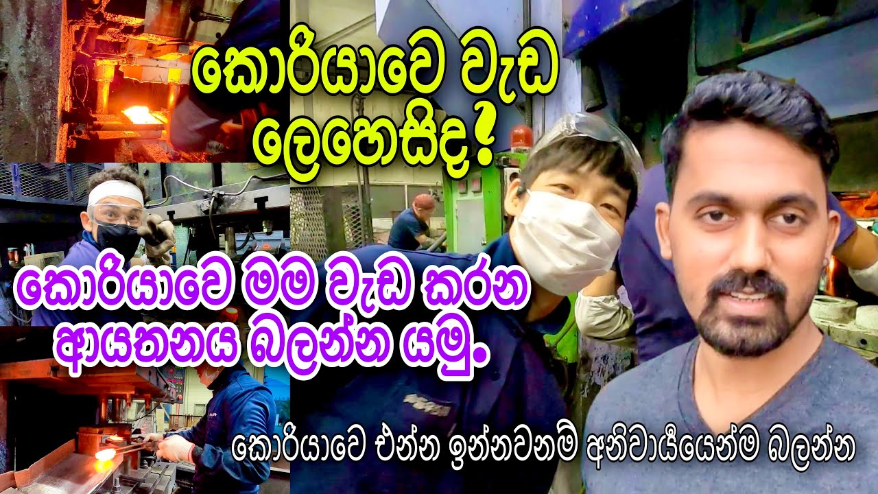 My Working Place in South Korea | කොරියාවෙ මම වැඩකරන ආයතනය බලන්න යමු | South Korea 2022 | work place