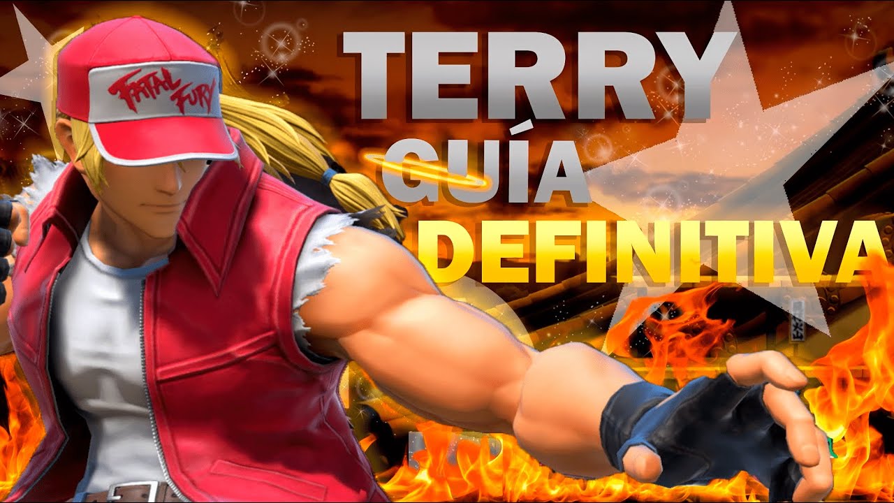 La Guía De TERRY DEFINITIVA Para PRINCIPIANTES