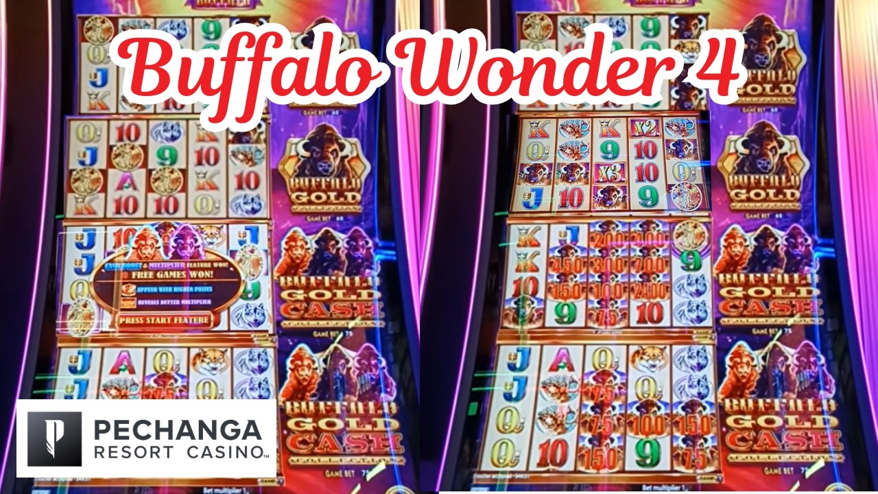 Wielka wygrana na Buffalo Gold Wonder 4