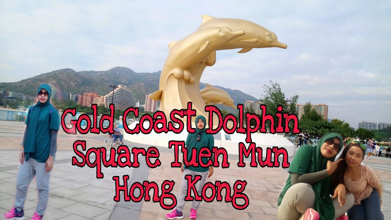 Lumba-lumba di Tuen Mun | Gold Coast Dolphin Square Tuen Mun HongKong