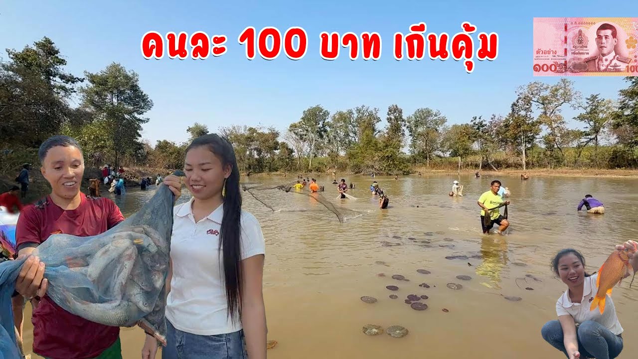บัตร 100 บาทได้ปลาเกีนนคุ้ม | ຫວ່ານແຫໜອງລວມບ້ານ | A lot of people fishing Laos