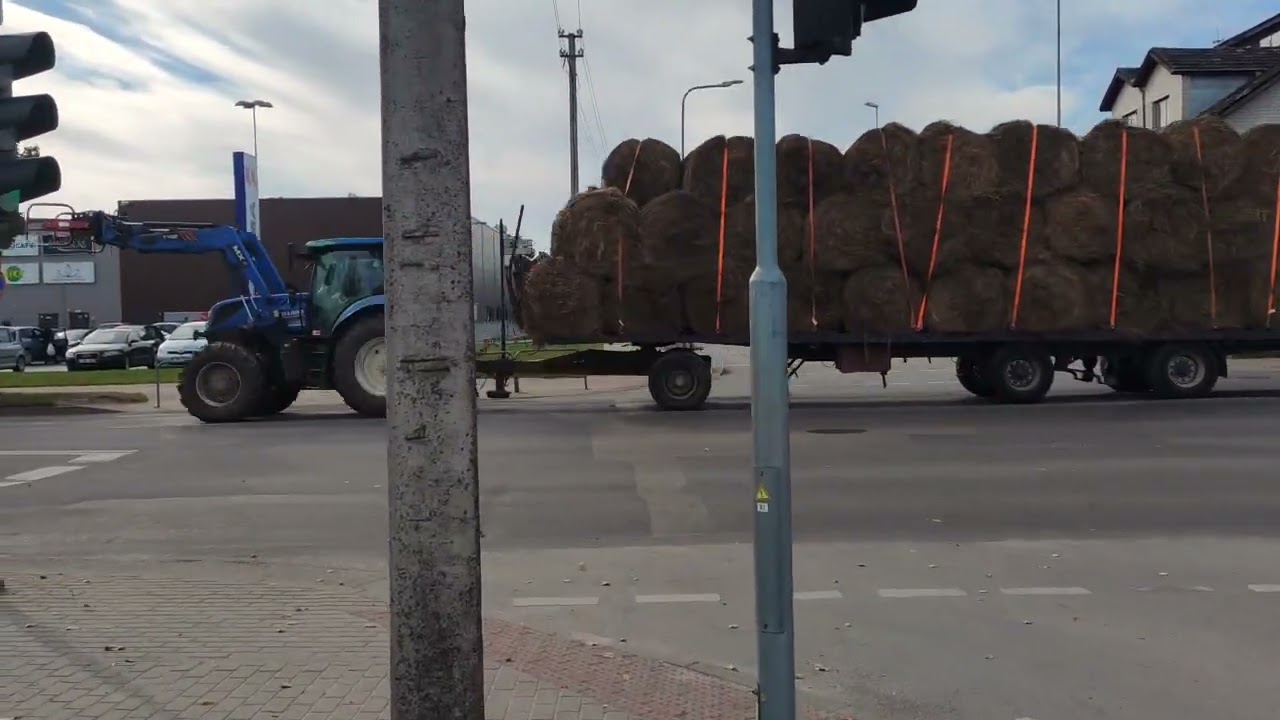 Таураге в субботе &ndash; самые большие шашлыки в Литве