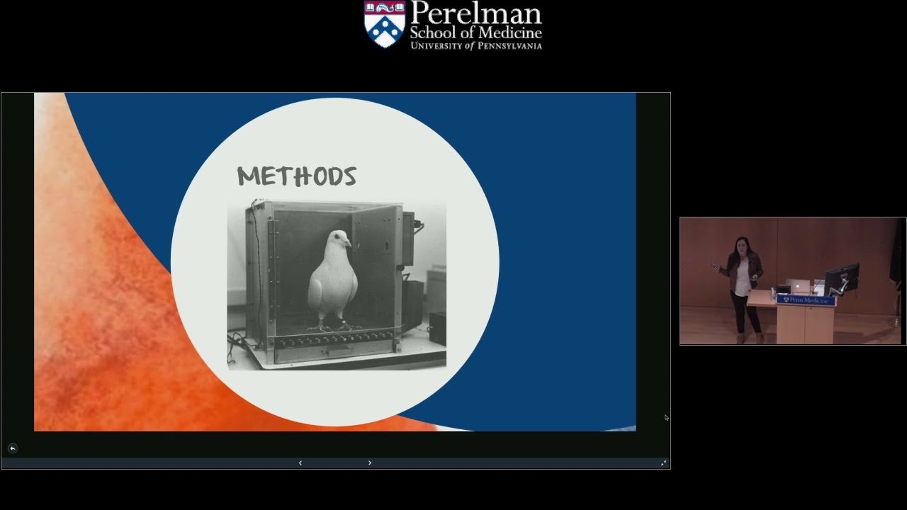 Introduction to Neuroeconomics and Decision Making: PhD Candidate Alice Dallstream