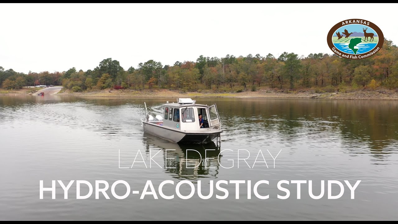 Hydro-Acoustic Shad Tracking in Arkansas
