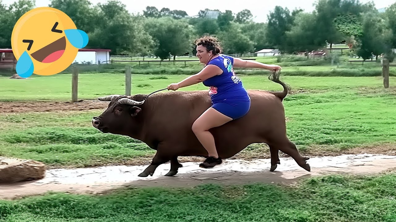Funny & Hilarious People Life 😆 Instant Regret Fails Compilation 2026 | Best Fails Of The Week #81