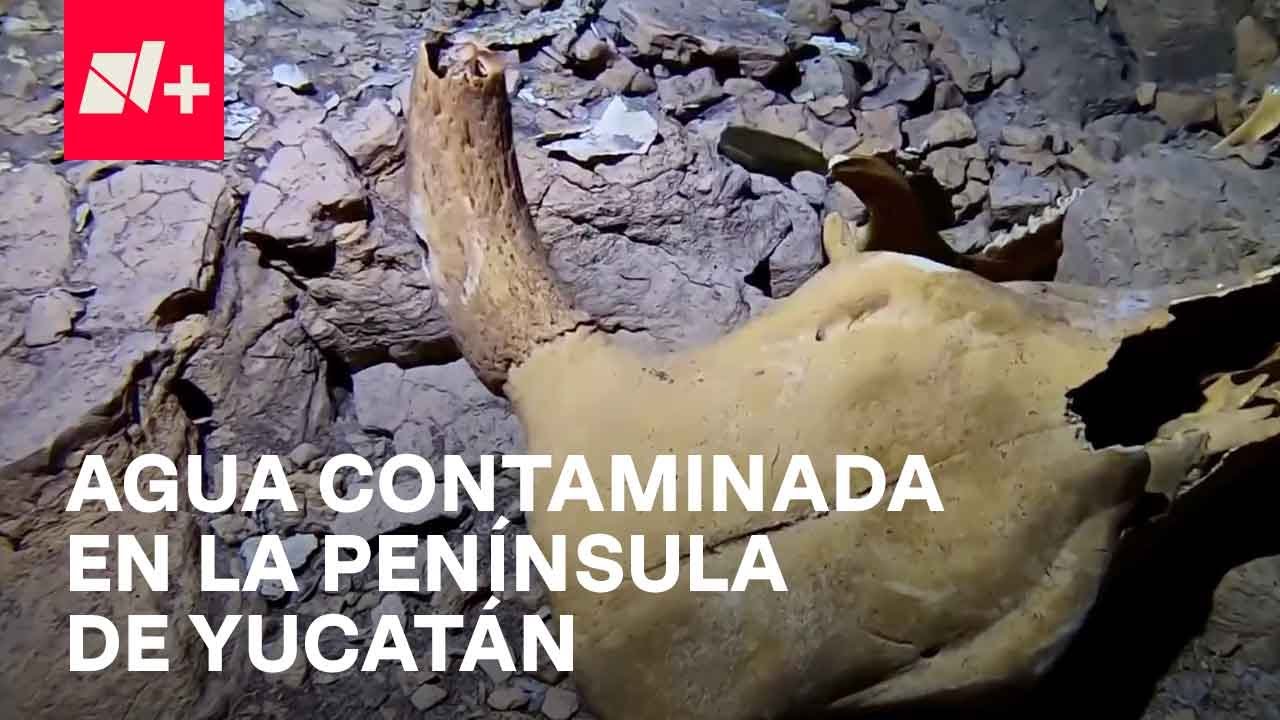 Quintana Roo, Campeche y Yucatán, con agua contaminada para sus habitantes - En Punto