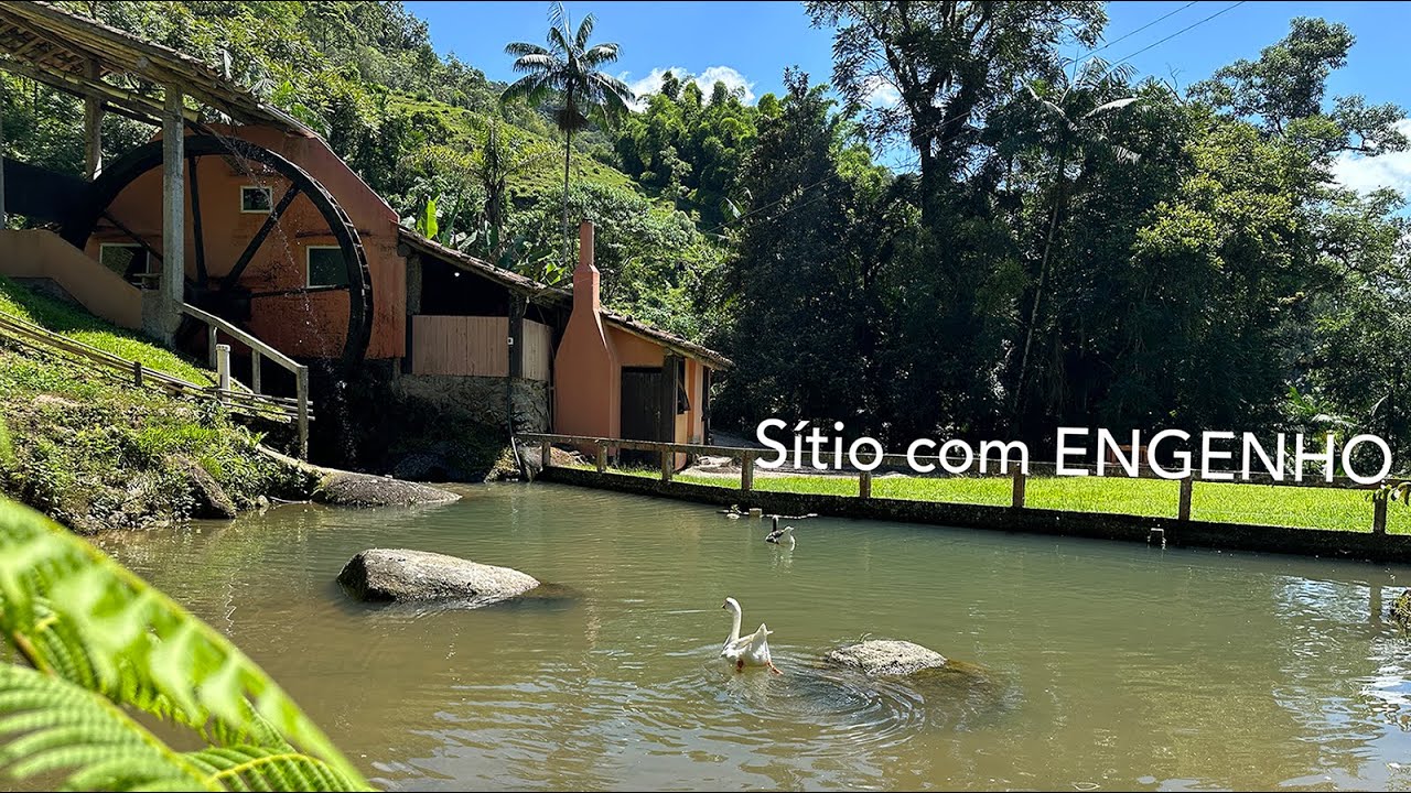 Sítio a venda à com ENGENHO funcionando em Santo Amaro da Imperatriz - SC e riacho com água limpa