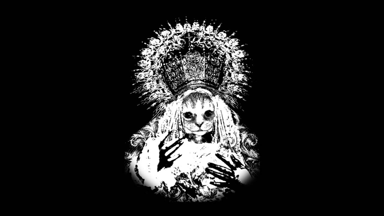 Mr.Kitty - Fight Your Friends