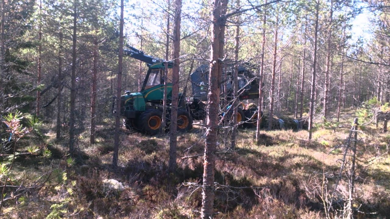 Fixteri Ruotsissa
