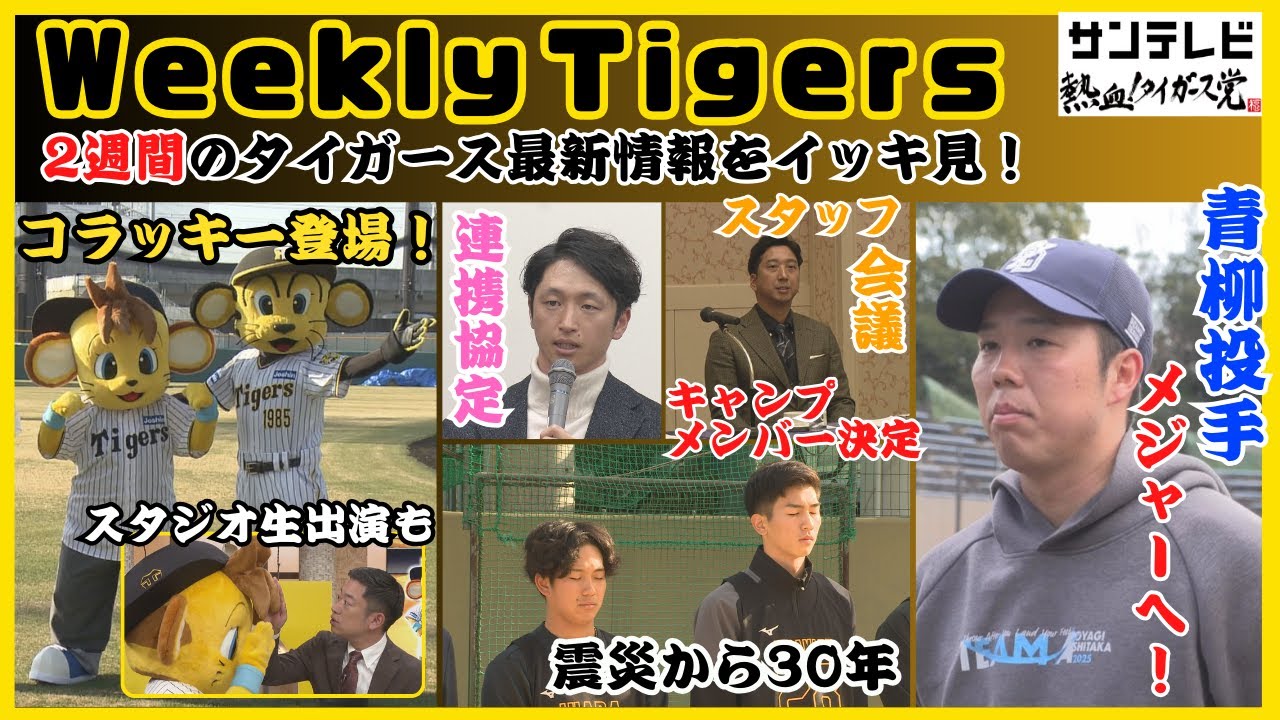【コラッキースタジオで躍動！笑】キャンプメンバー決定！青柳投手メジャーへ！2週間分のタイガース情報をまとめてイッキ見！ #熱血タイガース党