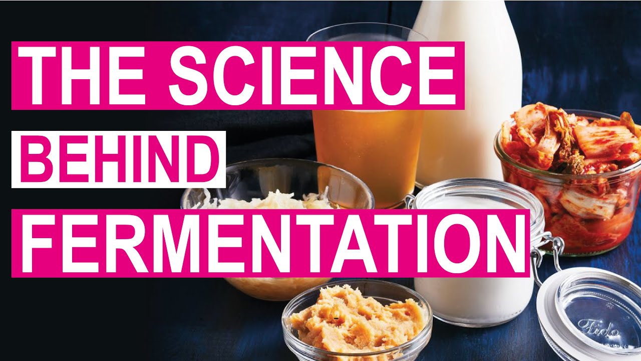 Health Benefits of Fermented Food | Why is Fermentation Healthy?