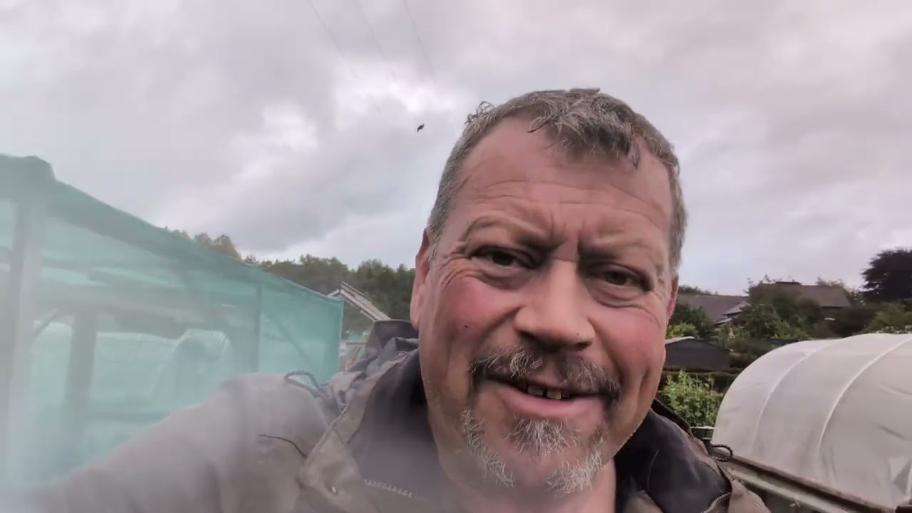 THE WAR ON WEEDS