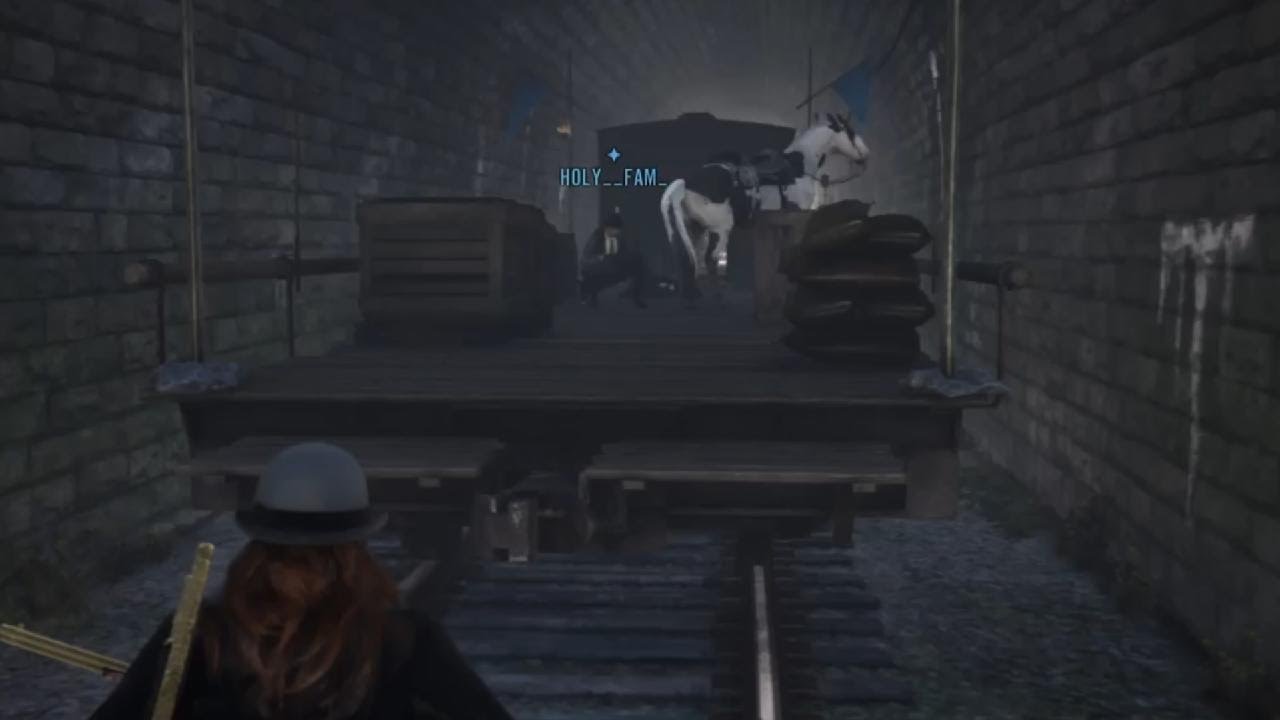 Me: Flew over the wagon. Horse: I'll hold your spot