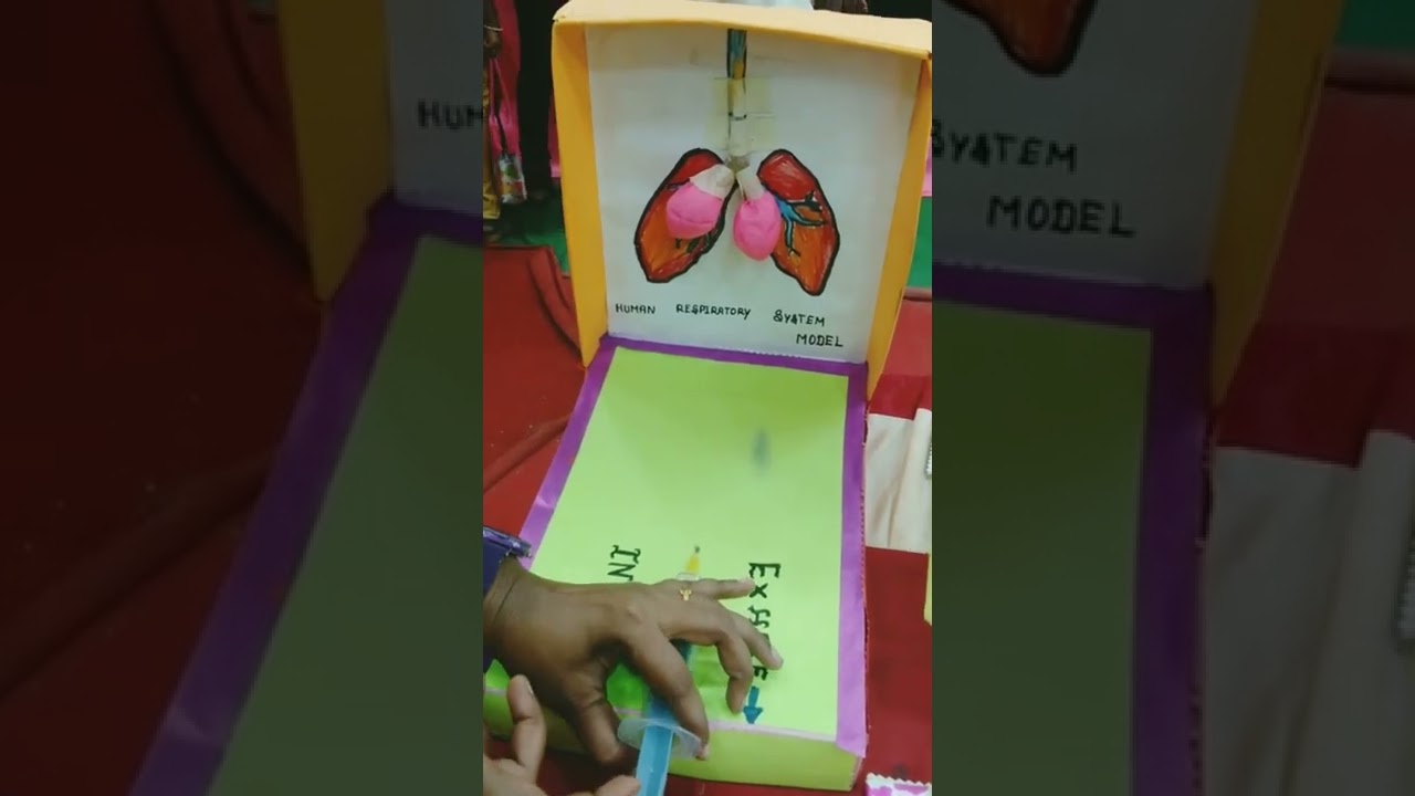 B.Ed Teaching aids-13 (for science)