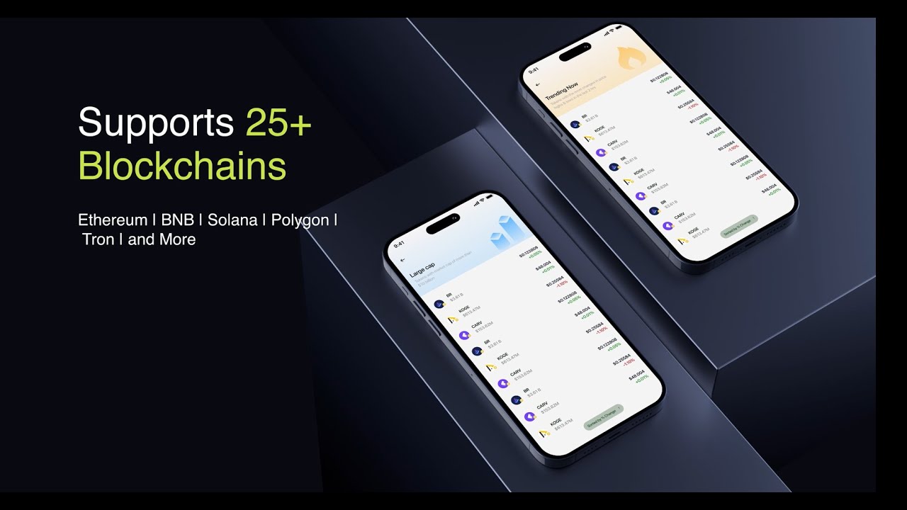 Expert Crypto Wallet Development in Action | Built by Alpharive