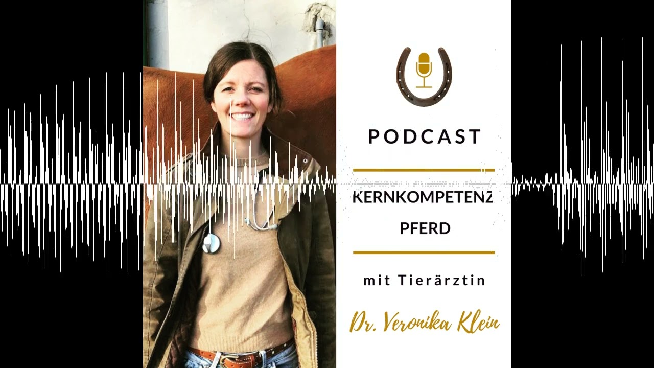 Veränderung der Schulpferdehaltung