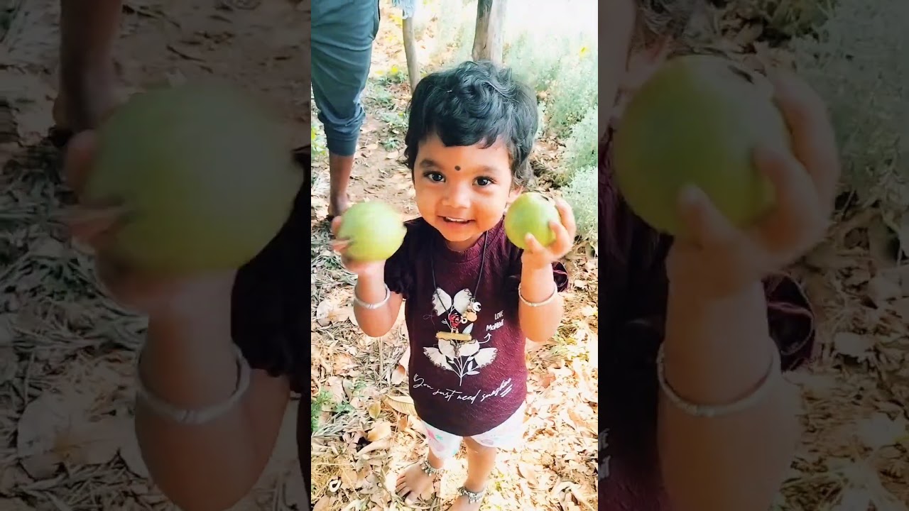 malli తోట దగ్గర కి వెళ్ళాము#nature#youtubeshorts #shorts@shannuvlogs07