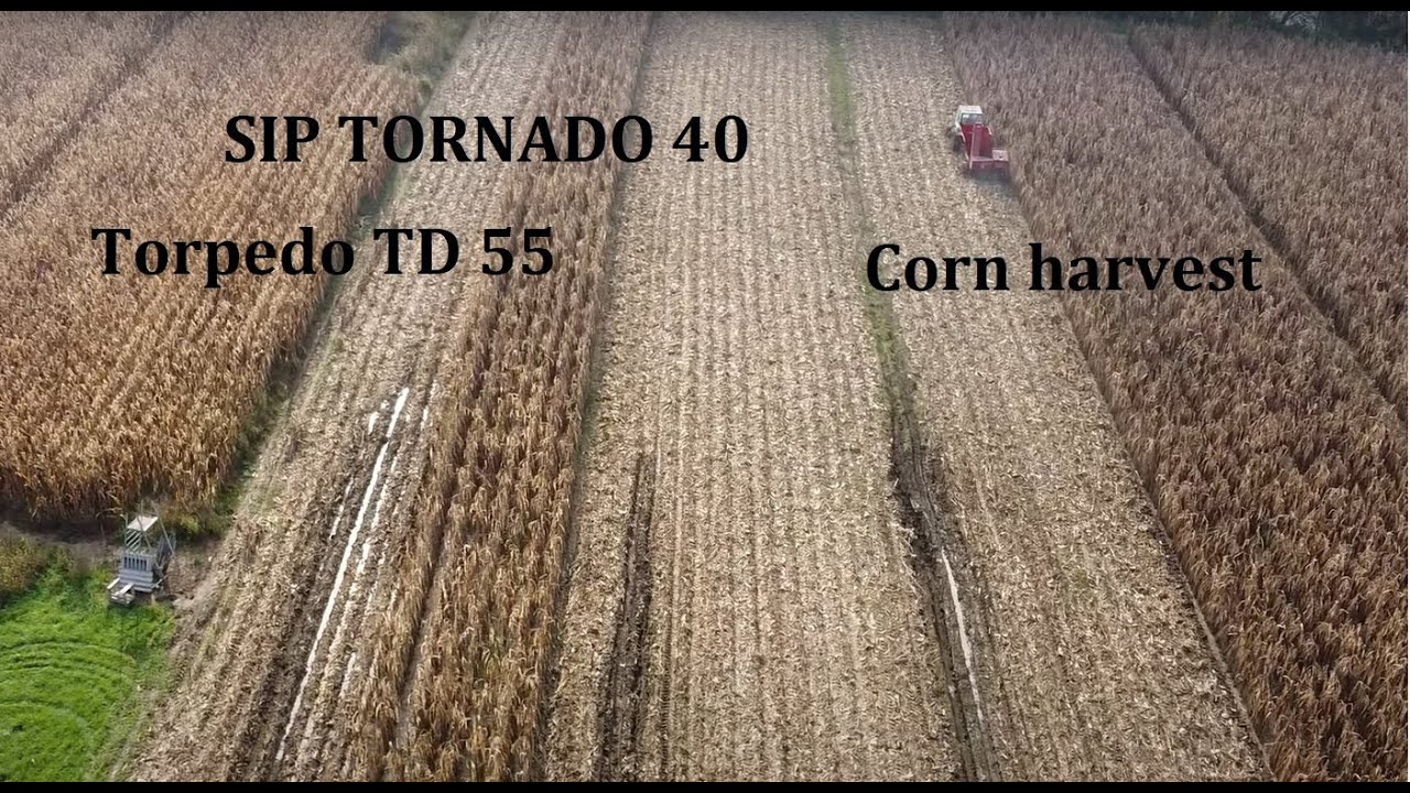 Corn harvest started and problems with mud - SIP TORNADO 40 and Torpedo TD 55